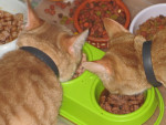 Lekker samen eten!